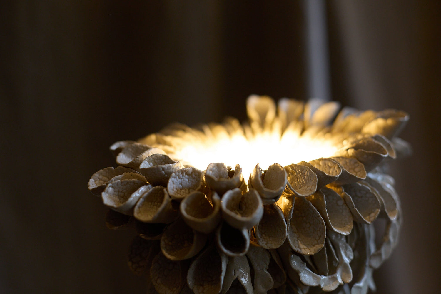 Shell lamp by Le Ruisseau  