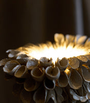 Shell lamp by Le Ruisseau  