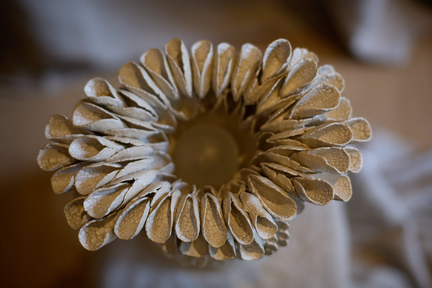 Shell lamp by Le Ruisseau  
