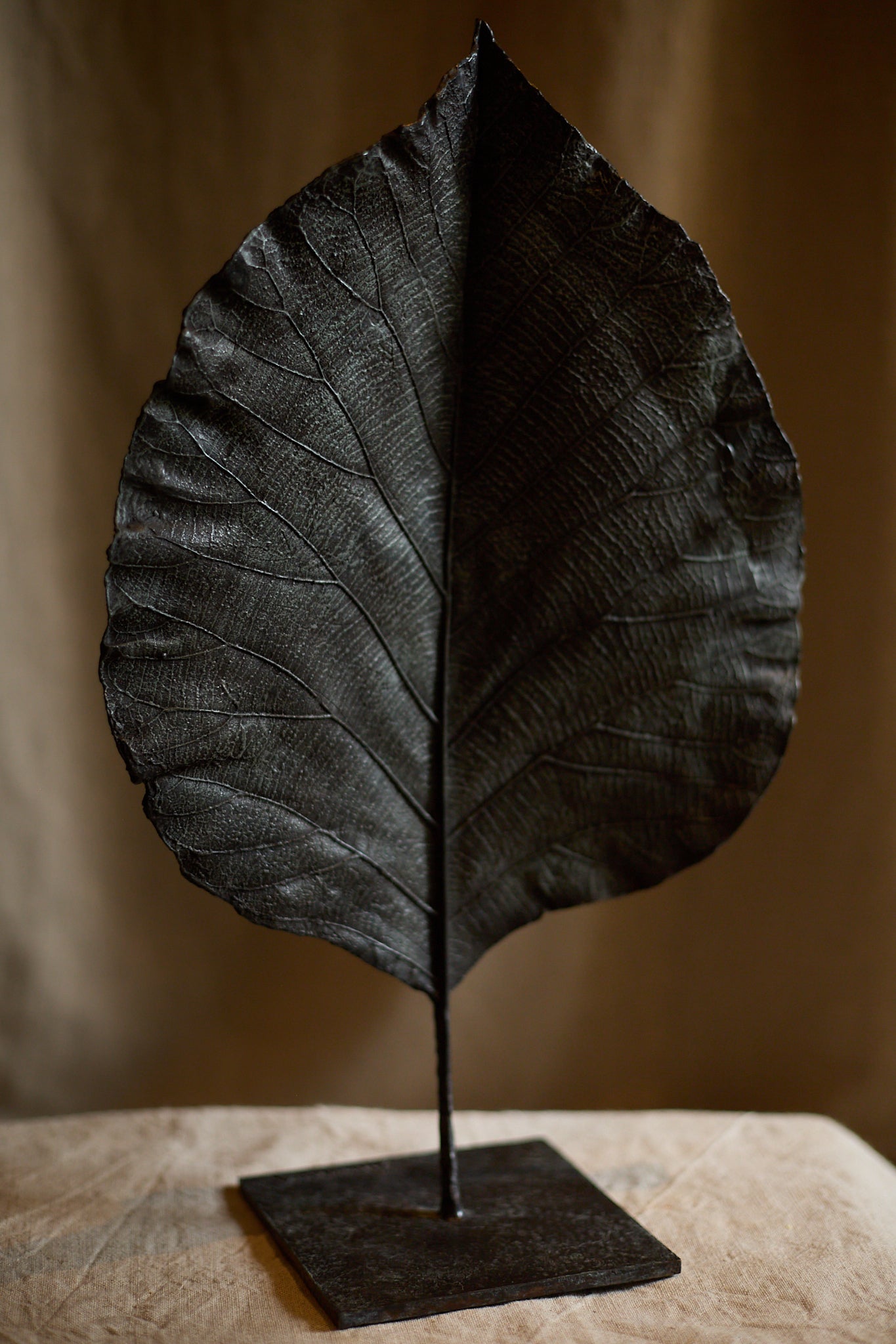 Feuille fermée de Clotilde Ancarani