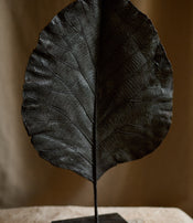 Feuille fermée de Clotilde Ancarani