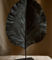 Feuille fermée de Clotilde Ancarani