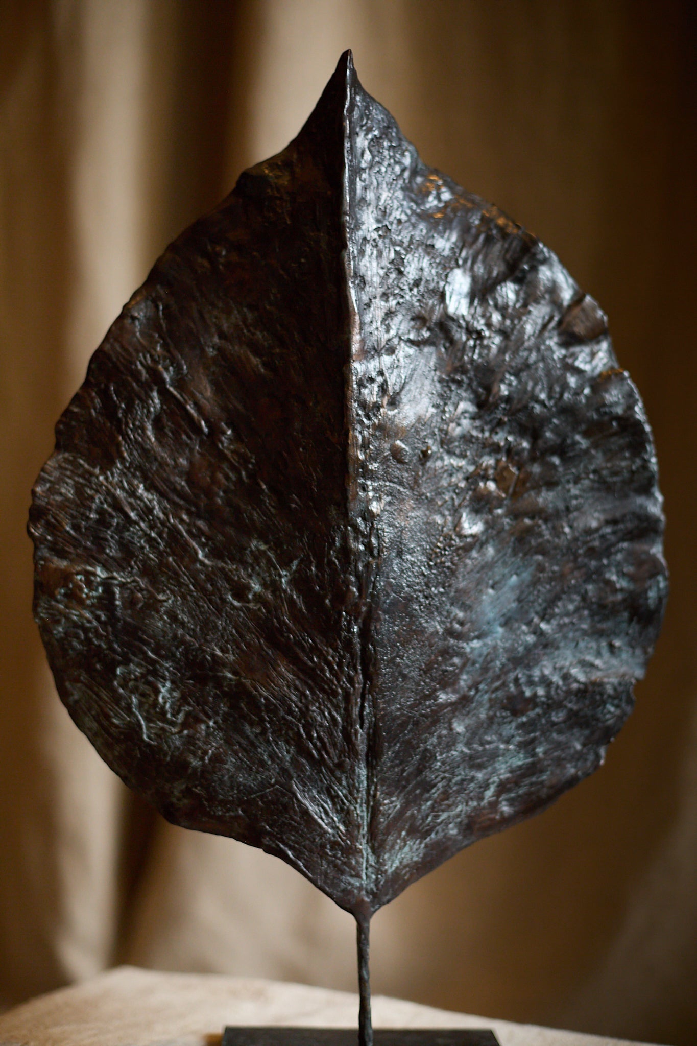 Feuille fermée de Clotilde Ancarani