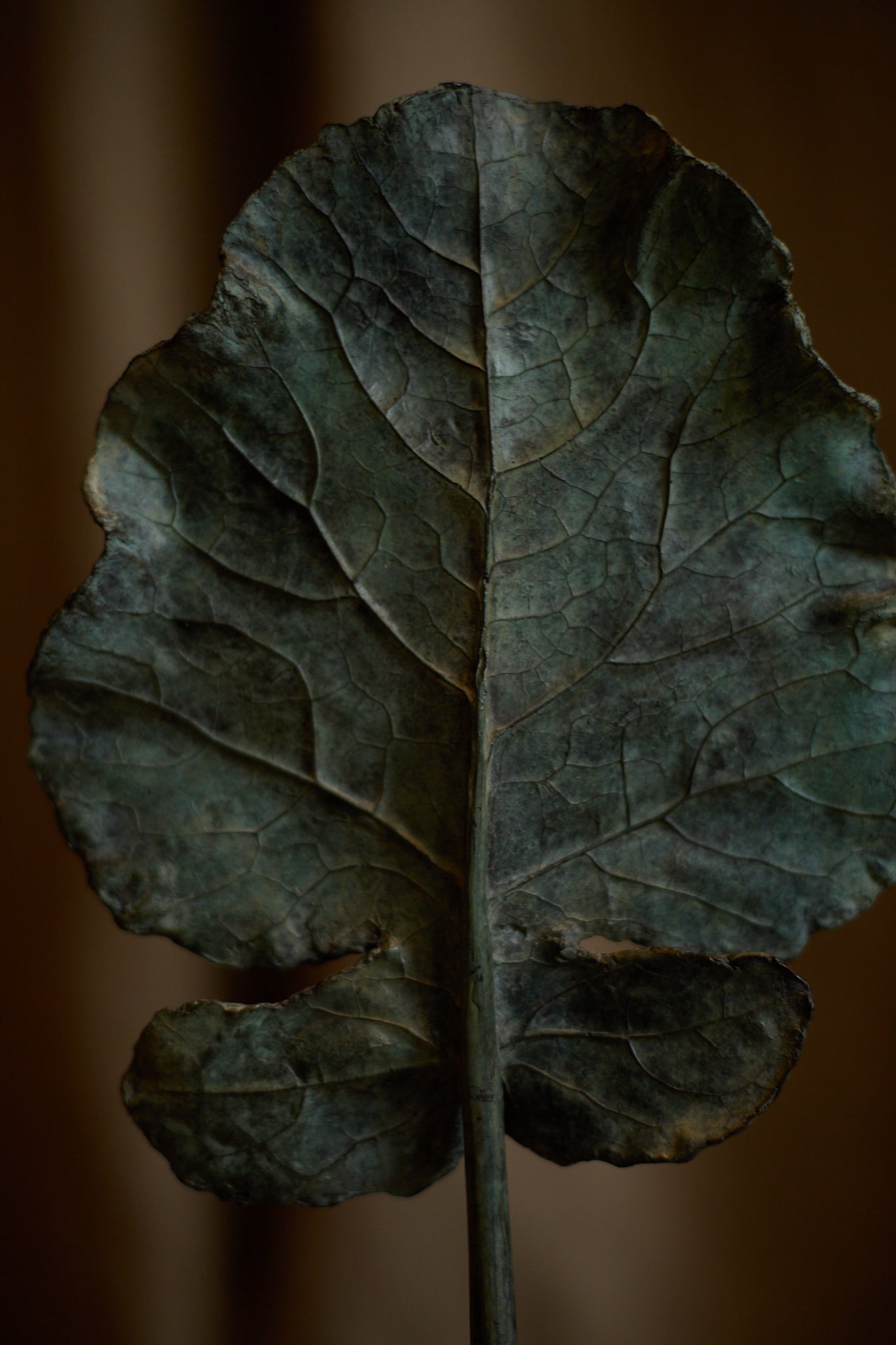 Feuille Arbre de Clotilde Ancarani