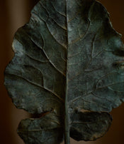 Feuille Arbre de Clotilde Ancarani
