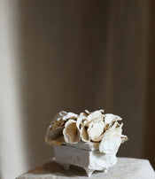 Petite boite coquillage par Le Ruisseau