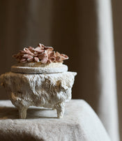 Petite boite aux coquillages I par Le Ruisseau