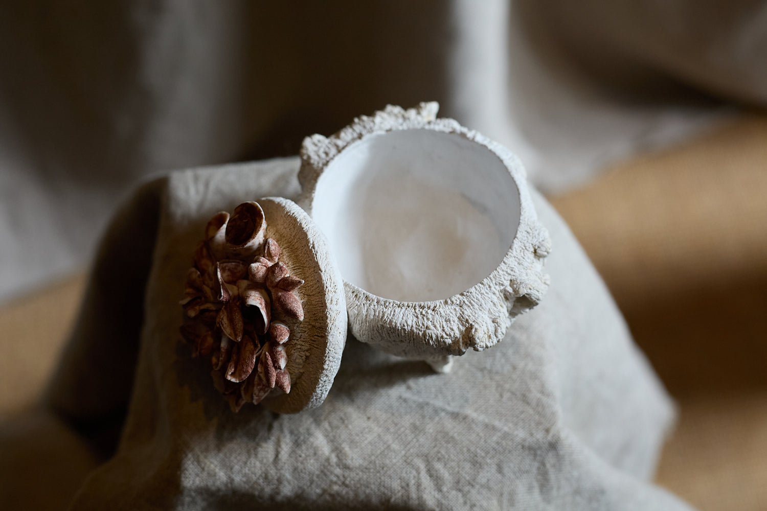 Petite boite aux coquillages I par Le Ruisseau