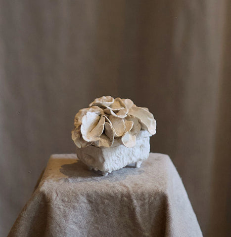 Petite boite coquillage par Le Ruisseau