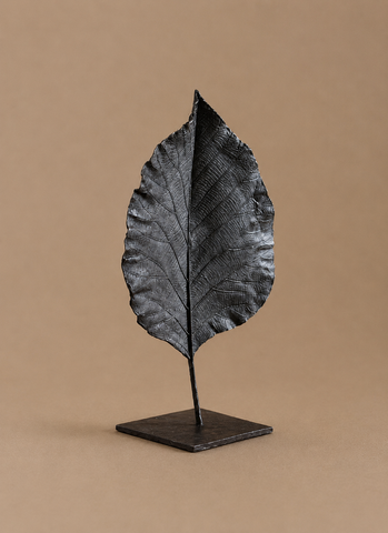 Feuille fermée de Clotilde Ancarani