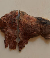 Two-part wall bison by Ule Ewelt 