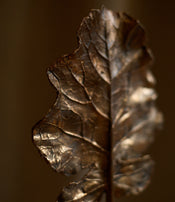 Feuille arbre de Clotilde Ancarani