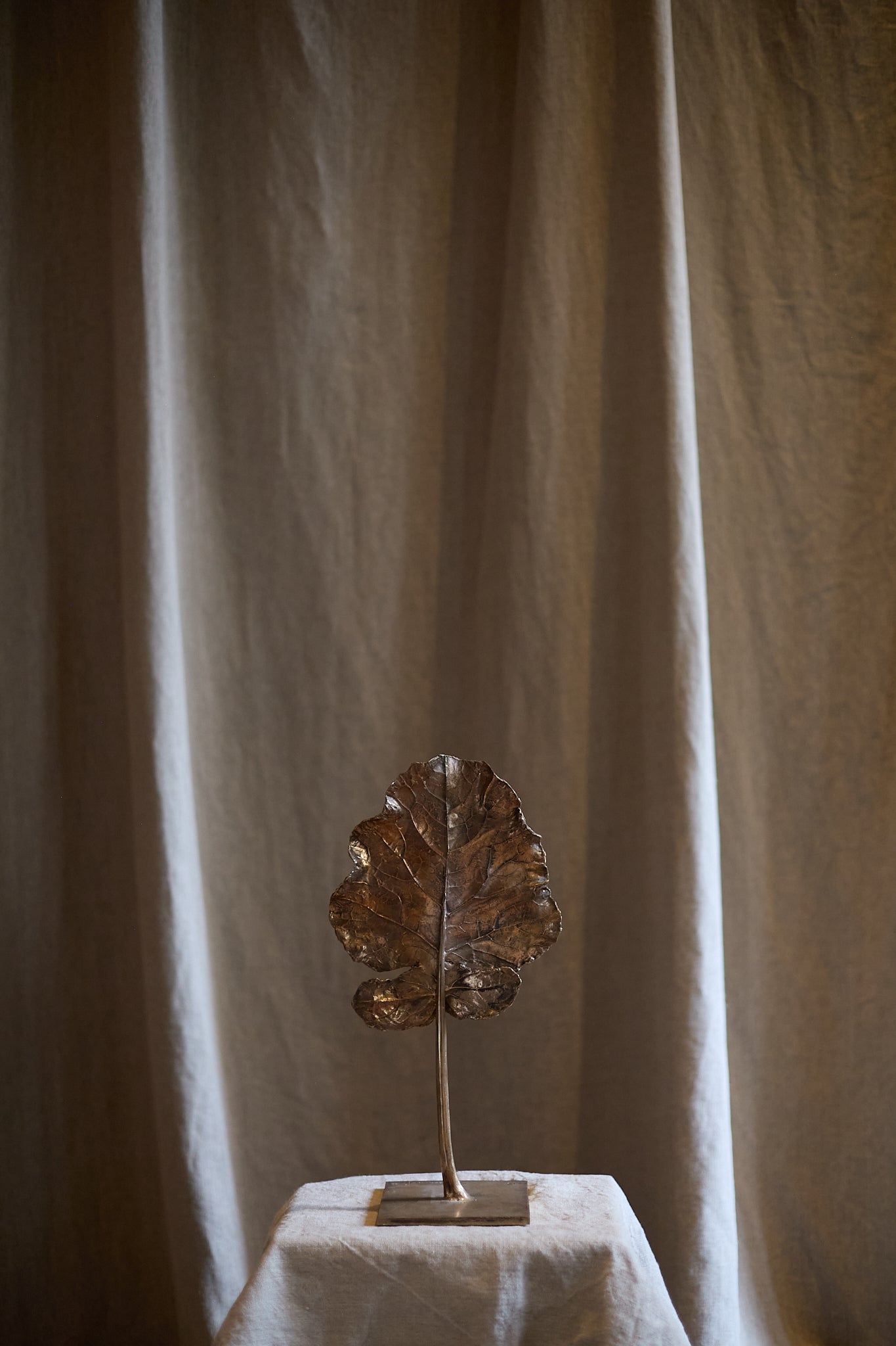 Feuille arbre de Clotilde Ancarani