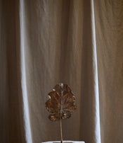 Feuille arbre de Clotilde Ancarani