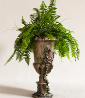 Grand vase Médicis de Bella hunt & Dante Di Calce