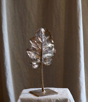 Feuille arbre de Clotilde Ancarani