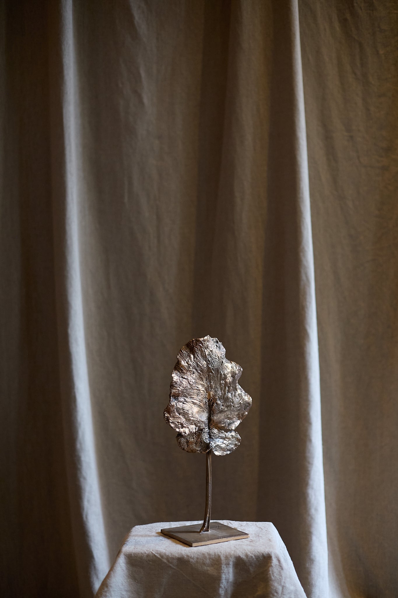 Feuille arbre de Clotilde Ancarani