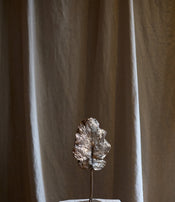Feuille arbre de Clotilde Ancarani