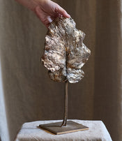 Feuille arbre de Clotilde Ancarani