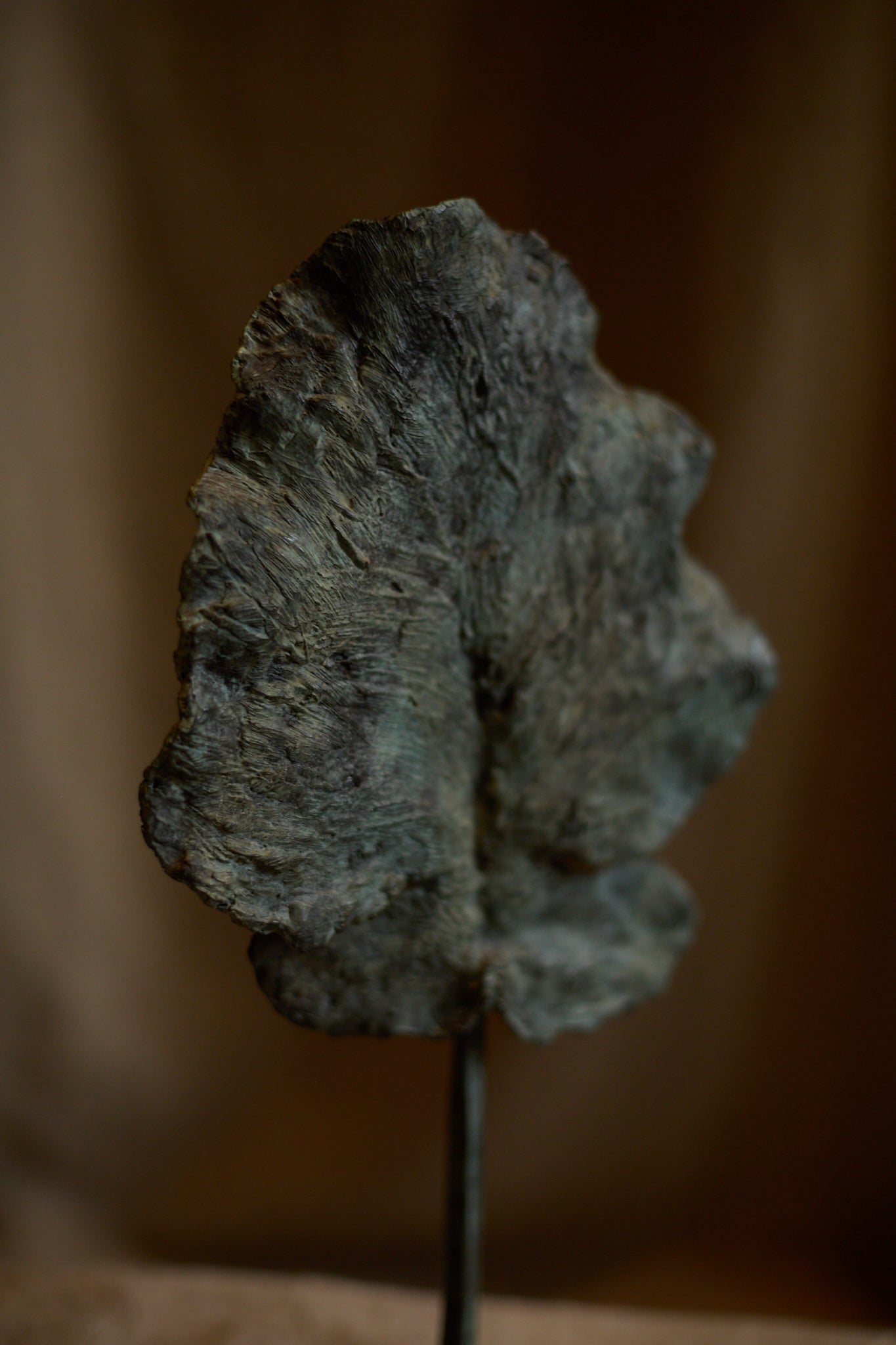 Feuille Arbre de Clotilde Ancarani