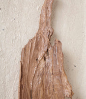 Sculpture feuille de Sepa