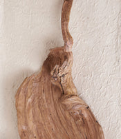 Sculpture feuille de Sepa
